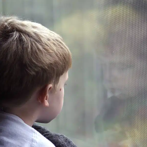 child555.png