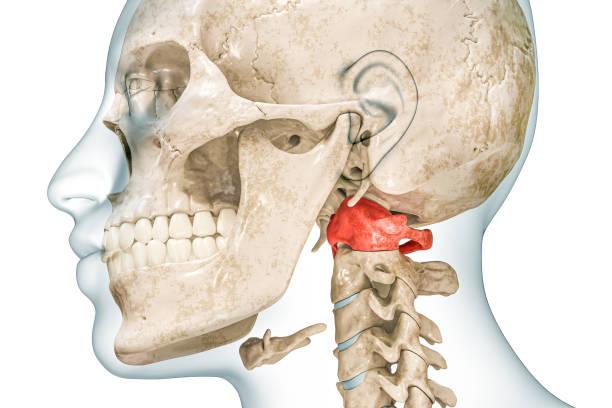 istockphoto-1487972067-612x612.jpg
